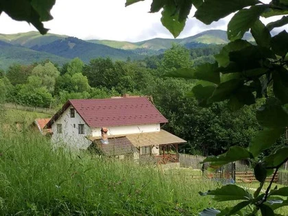 Valea Floreiului