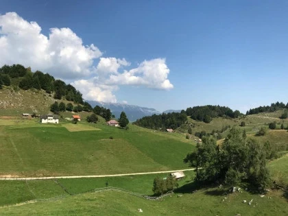Priveliste