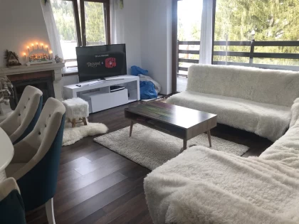 Casa de vacanata predeal living