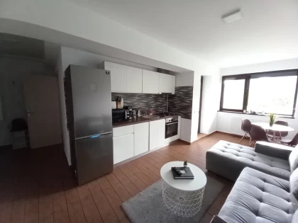 Zona living cu bucatarie