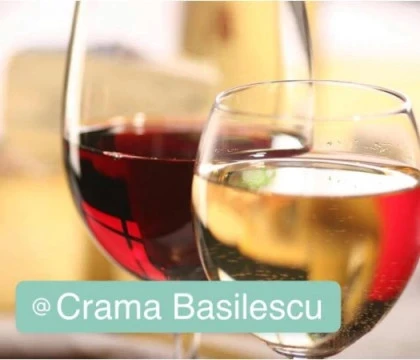 Crama Basilescu din Prahova cu vinuri si spatii de degustare