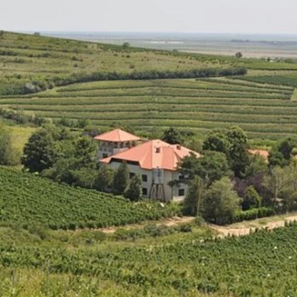 Crama Basilescu din Prahova cu vinuri si spatii de degustare