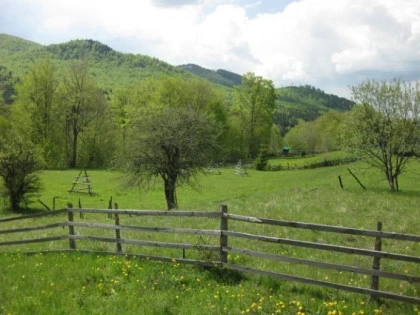 Panorama Curte
